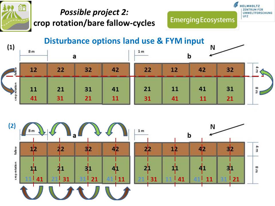 disturbance options